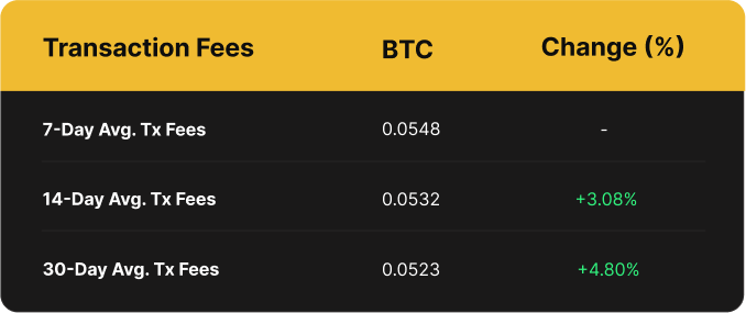 Luxor Bitcoin Transaction Fees