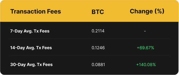 Luxor Bitcoin Transaction Fees