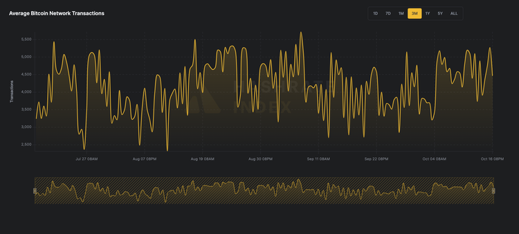 Q3 Lookback:  Bitcoin Transaction Fees &  Hashrate Index’s Weekly Forecasts